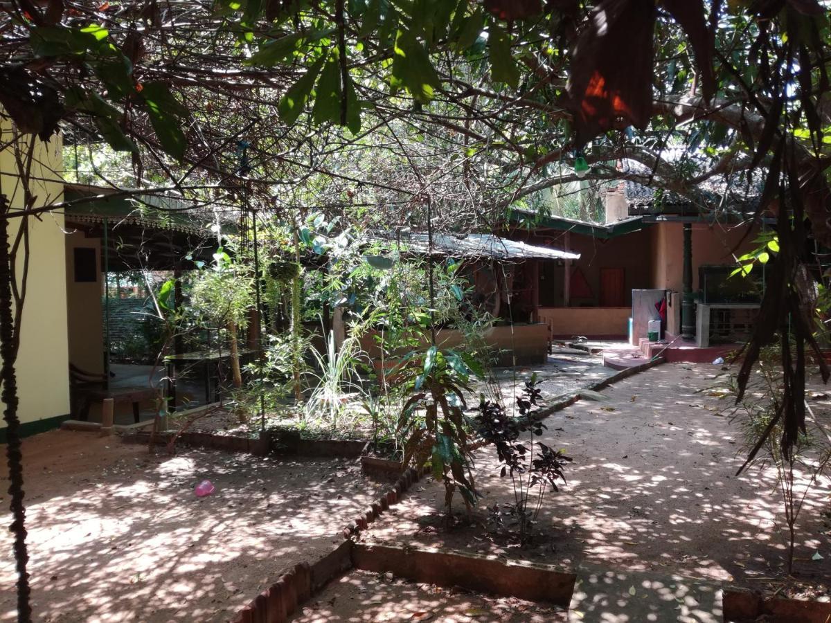 Sigiriya Freedom Lodge Dambulla Exteriör bild