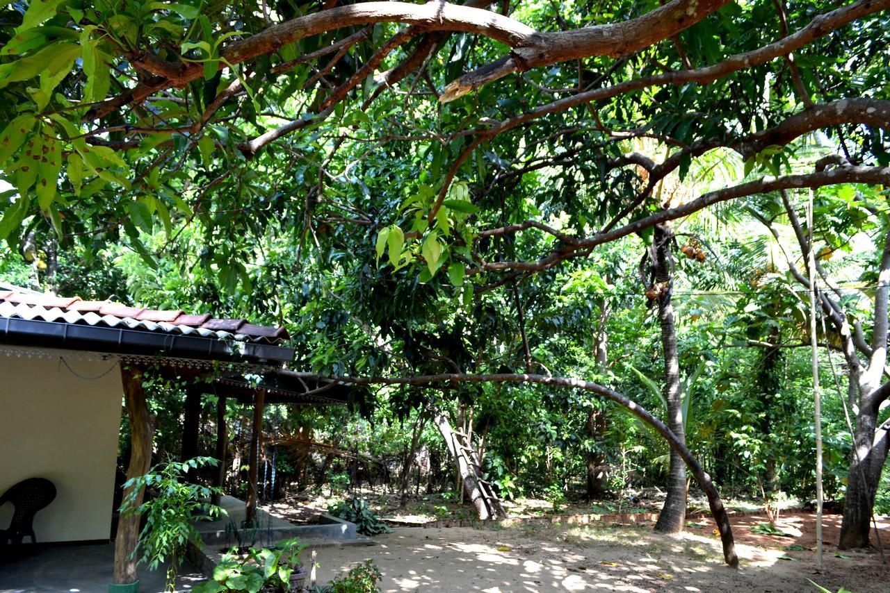 Sigiriya Freedom Lodge Dambulla Exteriör bild