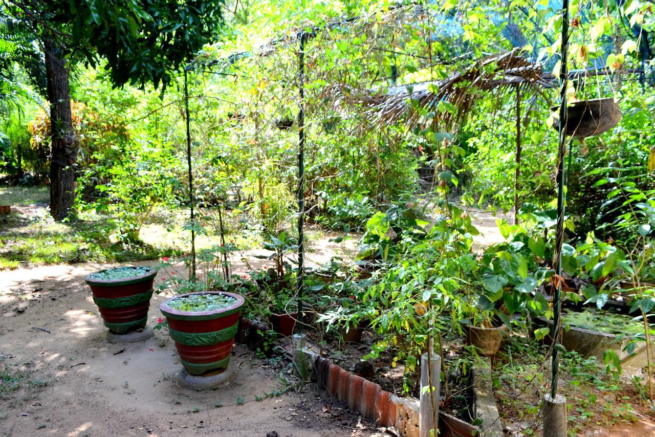 Sigiriya Freedom Lodge Dambulla Exteriör bild
