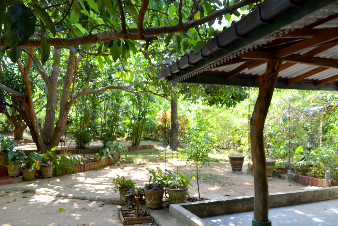 Sigiriya Freedom Lodge Dambulla Exteriör bild