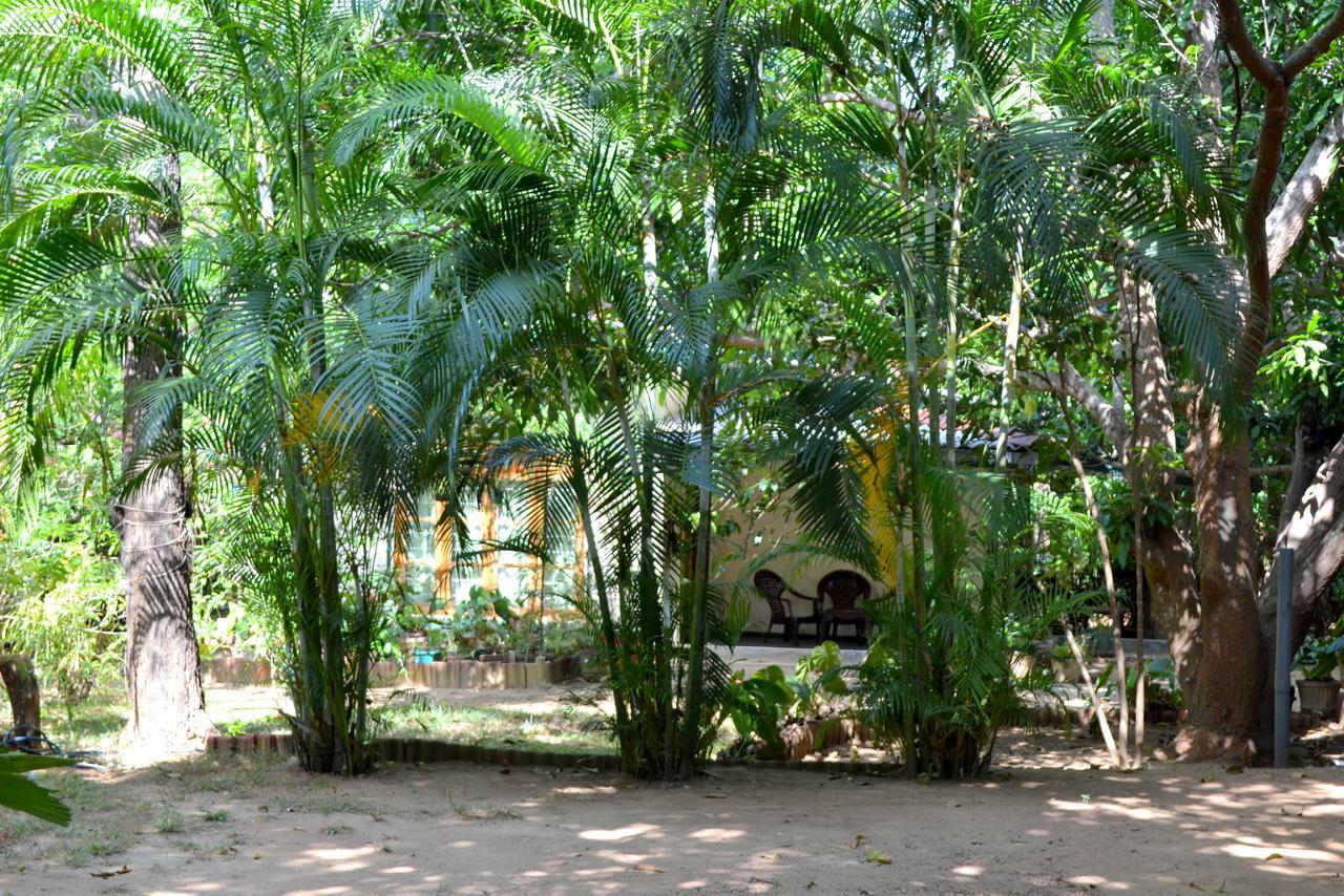 Sigiriya Freedom Lodge Dambulla Exteriör bild