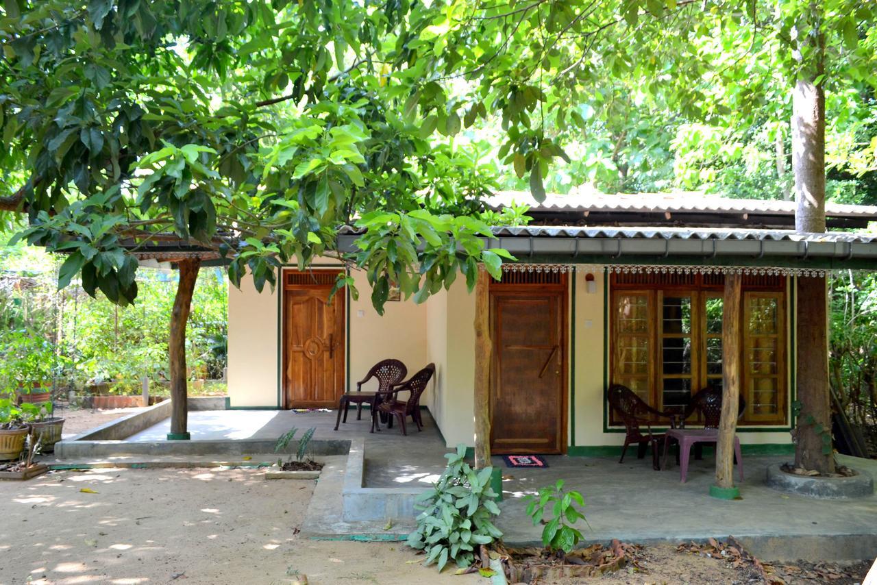 Sigiriya Freedom Lodge Dambulla Exteriör bild